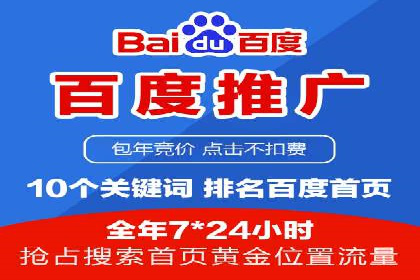 百度竞价运营策略：成功案例解析